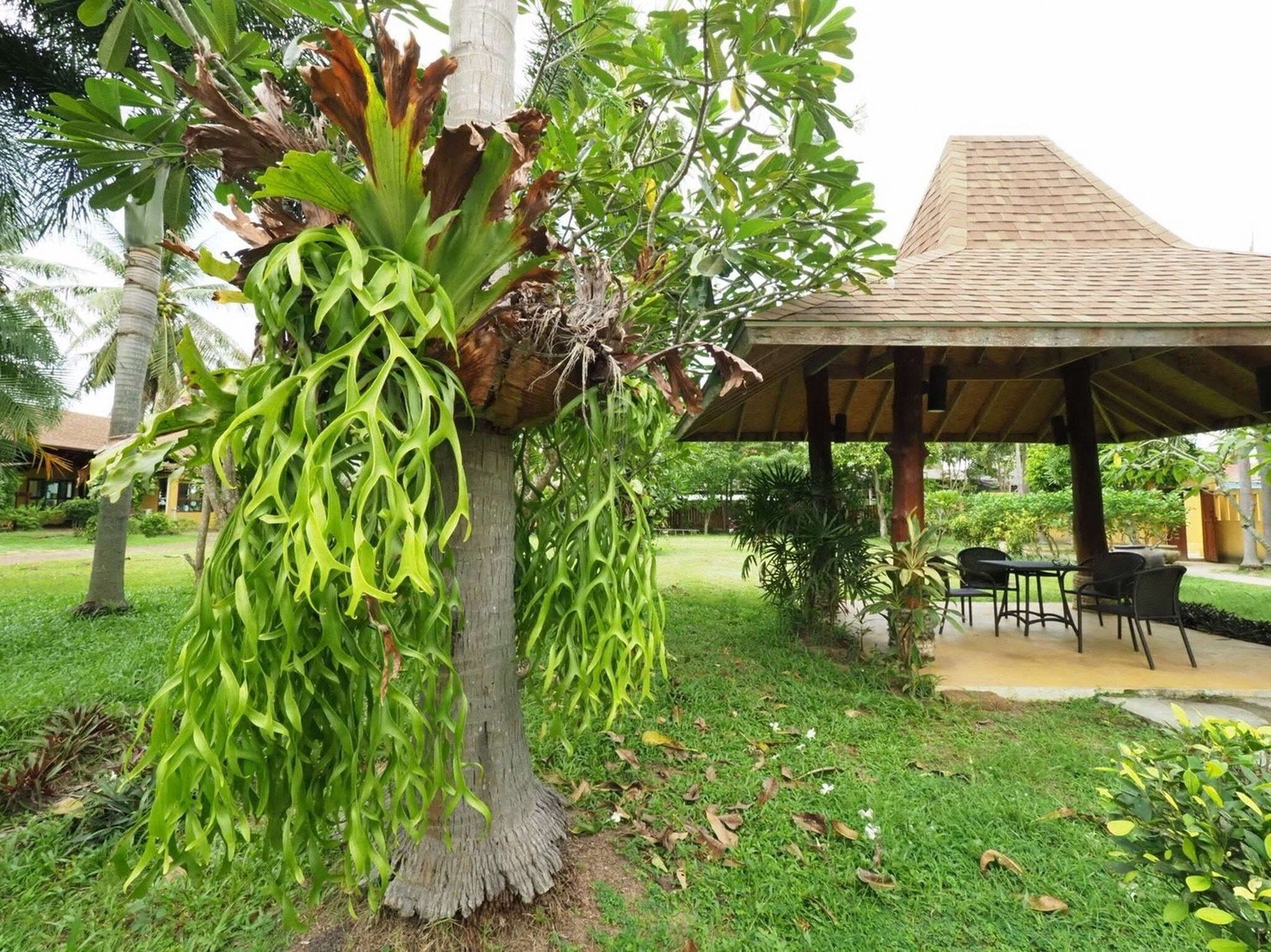 Keeree Waree Seaside Villa Банг Сафан Екстериор снимка